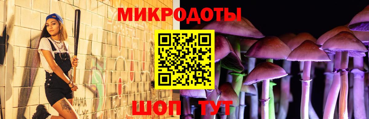 Псилоцибиновые грибы Psilocybe Якутск