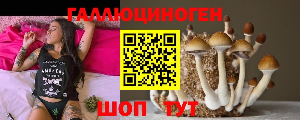Якутск  Псилоцибиновые грибы GOLDEN TEACHER  Псилоцибиновые грибы мицелий  Вход с VPN 